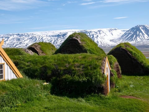 5-Day Small Group Journey Around Iceland, photo 5