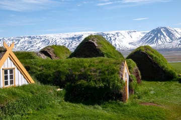 5-Day Small Group Tour of Iceland's Highlights