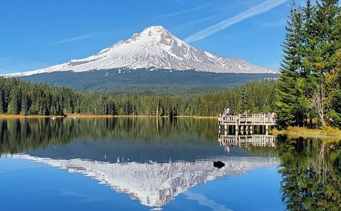 Private Mt. Hood and Columbia River Tour from Portland