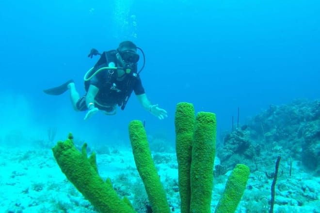 Scuba Diving at Catalina Island - 2 tank | 2 spots 10