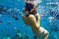 Bali Blue Lagoon Snorkeling with Lunch & Private Hotel Transfer 1