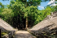 Self-Guided Audio Tour - Coba Ruins: The trail of the Mayas 2