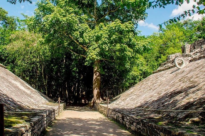 Self-Guided Audio Tour - Coba Ruins: The trail of the Mayas 2