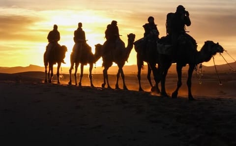 3-Day Merzouga Desert Tour from Fes with Camel Rides