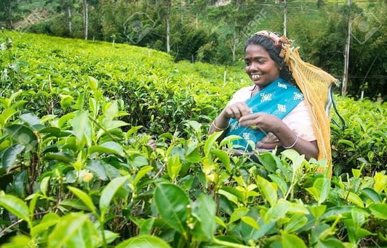 4 Days Tour with Hiking and Scenic Train Ride