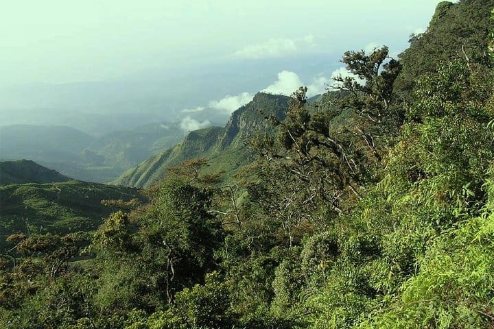 Ceylon Tea Tour | 10 Days