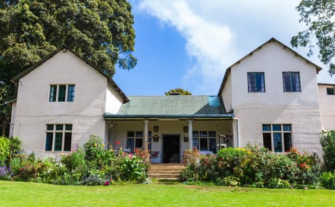 Guided Tea Farm Tour in Limuru, Kenya