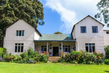 Guided Tea Farm Tour in Limuru, Kenya