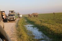 Two Days Guided Amboseli Tour 3