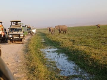 Two Days Guided Amboseli Tour