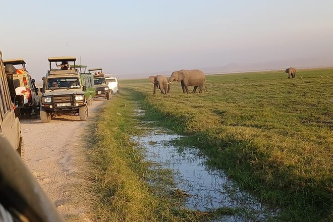 Two Days Guided Amboseli Tour 3