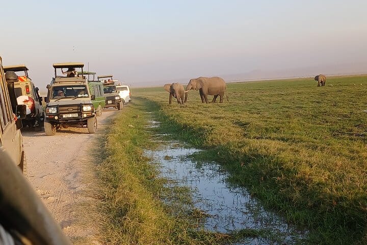 Two Days Guided Amboseli Tour 3