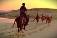 Two Hours Adventure Horse Riding In Hurghada 7