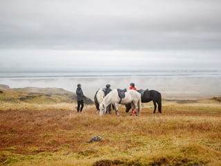 Mountain & Ocean Tour, photo 12