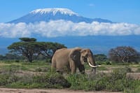 Amboseli National Park