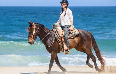 3-Hour Swim with Horses Experience in Hurghada