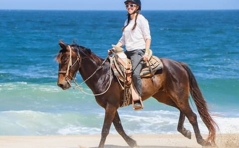 Swim and Ride with Horses in Hurghada, Egypt