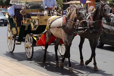 Carriage Tour In fez