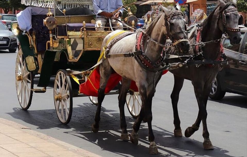 Horse Carriage Tour Through Historic Fes, Morocco