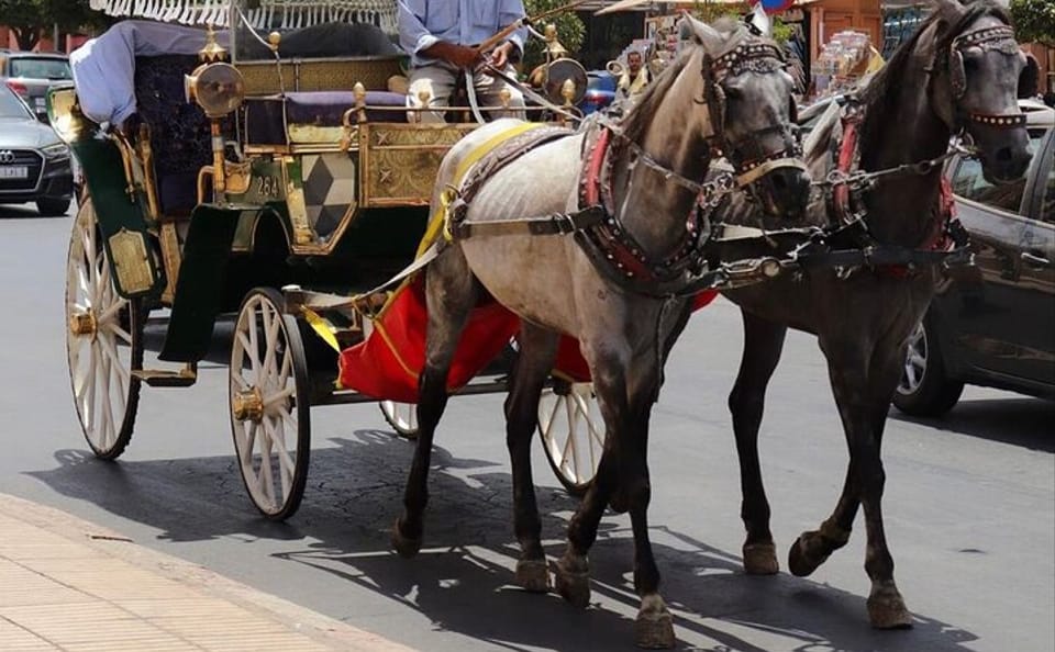Horse Carriage Tour Through Historic Fes, Morocco