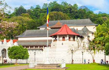 Four-Day Adventure Tour of Colombo and Kandy, Sri Lanka