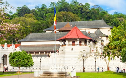 Four-Day Adventure Tour of Colombo and Kandy, Sri Lanka