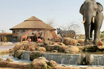 Dubai Safari Park Tour with Private Transfers Included