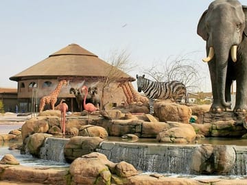Dubai Safari Park Tour with Private Transfers Included