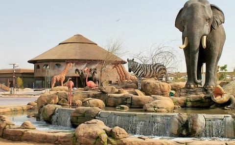 Dubai Safari Park Tour with Private Transfers Included