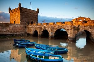 Private Essaouira Mogador: Fishing port & Argan Oil Hub