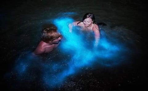 Night Tour of Rose Hall Mansion and Luminous Lagoon in Jamaica