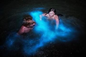 Night Tour of Rose Hall Mansion and Luminous Lagoon in Jamaica