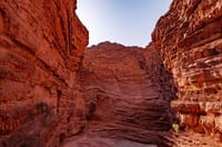 From Salta: Two Full-Day Excursions through Cafayate and Cachi 10