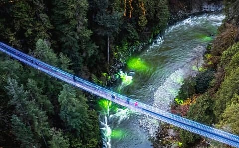 Private 4-Hour Customized Tour of Vancouver Highlights
