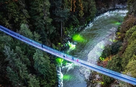 Private 4-Hour Customized Tour of Vancouver Highlights