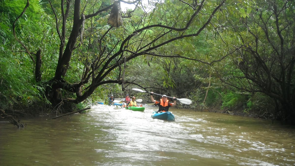 “KAYAK F” 2-Day Mae Ping River Kayaking Adventure from Chiang mai