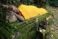 Doi Tung & Royal Villa Guided Cultural Tour 8