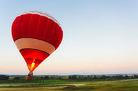 Lion & Elephant Safari Adventure Full-Day Tour 10