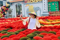 Hanoi Incense Village And Hat-Making And Lacquer Art Tour 6