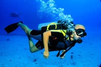 PADI Open Water Course Advanced Diving in Hurghada - Hurghada