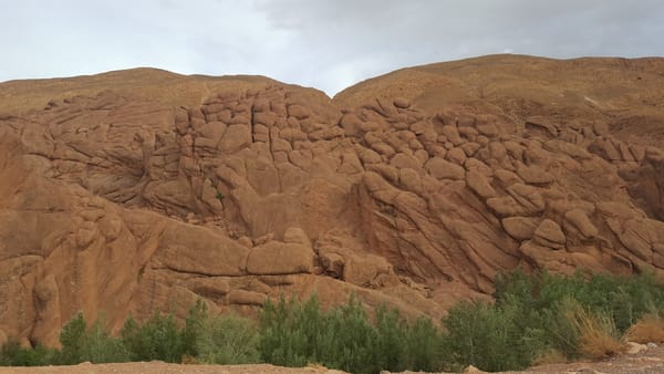 Things to do in Sahara