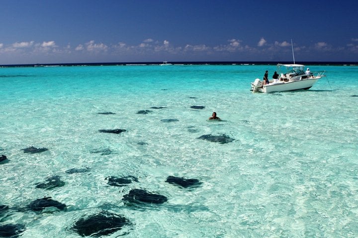 Grand Cayman Stingray City and Snorkeling with Beach Lunch 5