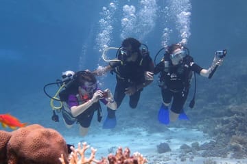 Beginner Scuba Diving Experience in Hurghada, Egypt