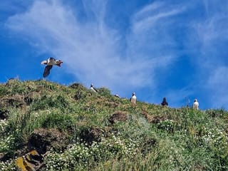 3 Day Southeast Photo Tour With Sindri Local Guide Home Dinner, photo 28
