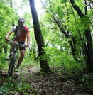 Pamporovo or Rhodopes Rent a Bike + E-guide 7
