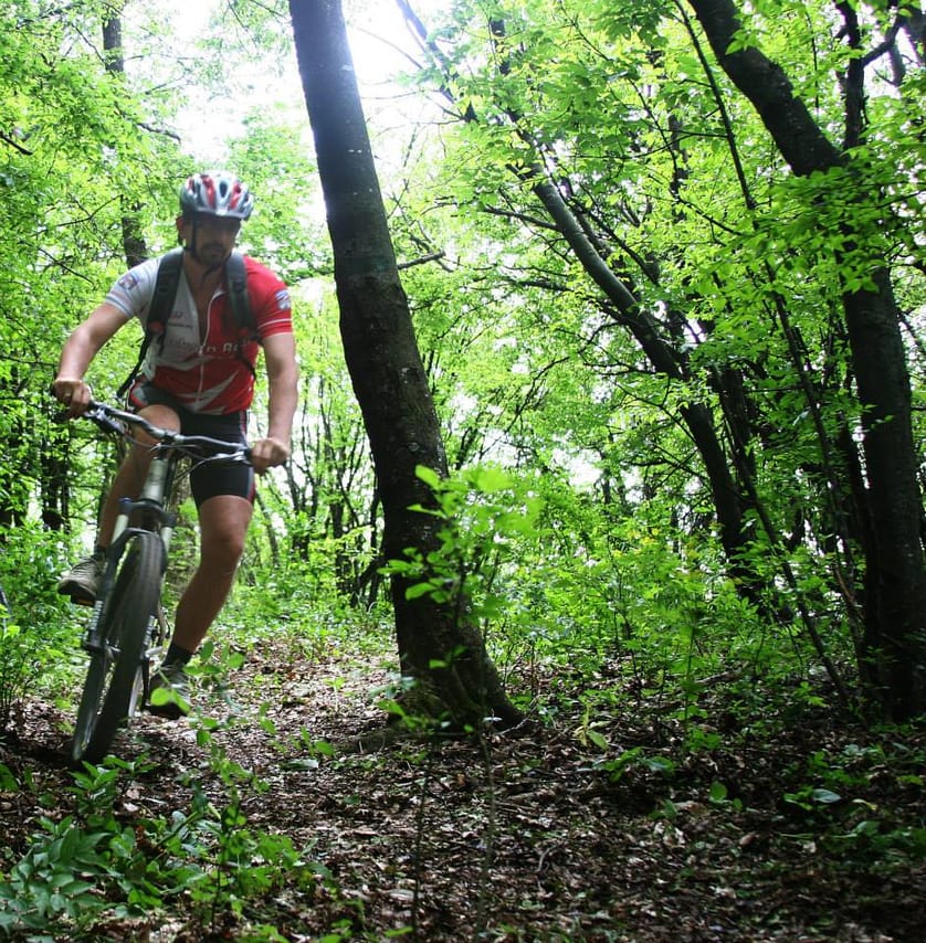 Pamporovo or Rhodopes Rent a Bike + E-guide 7