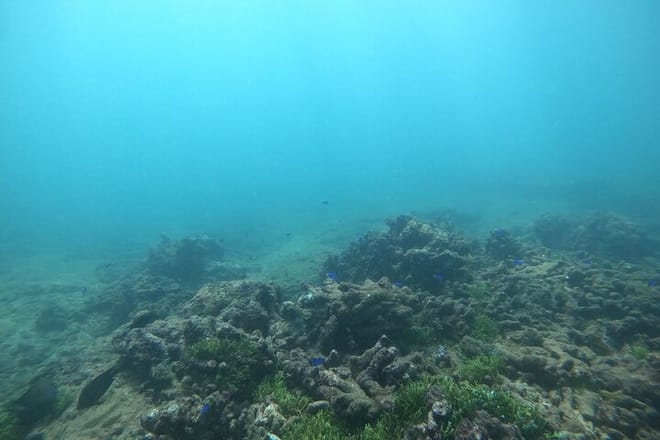 Snorkeling in Unawatuna 5
