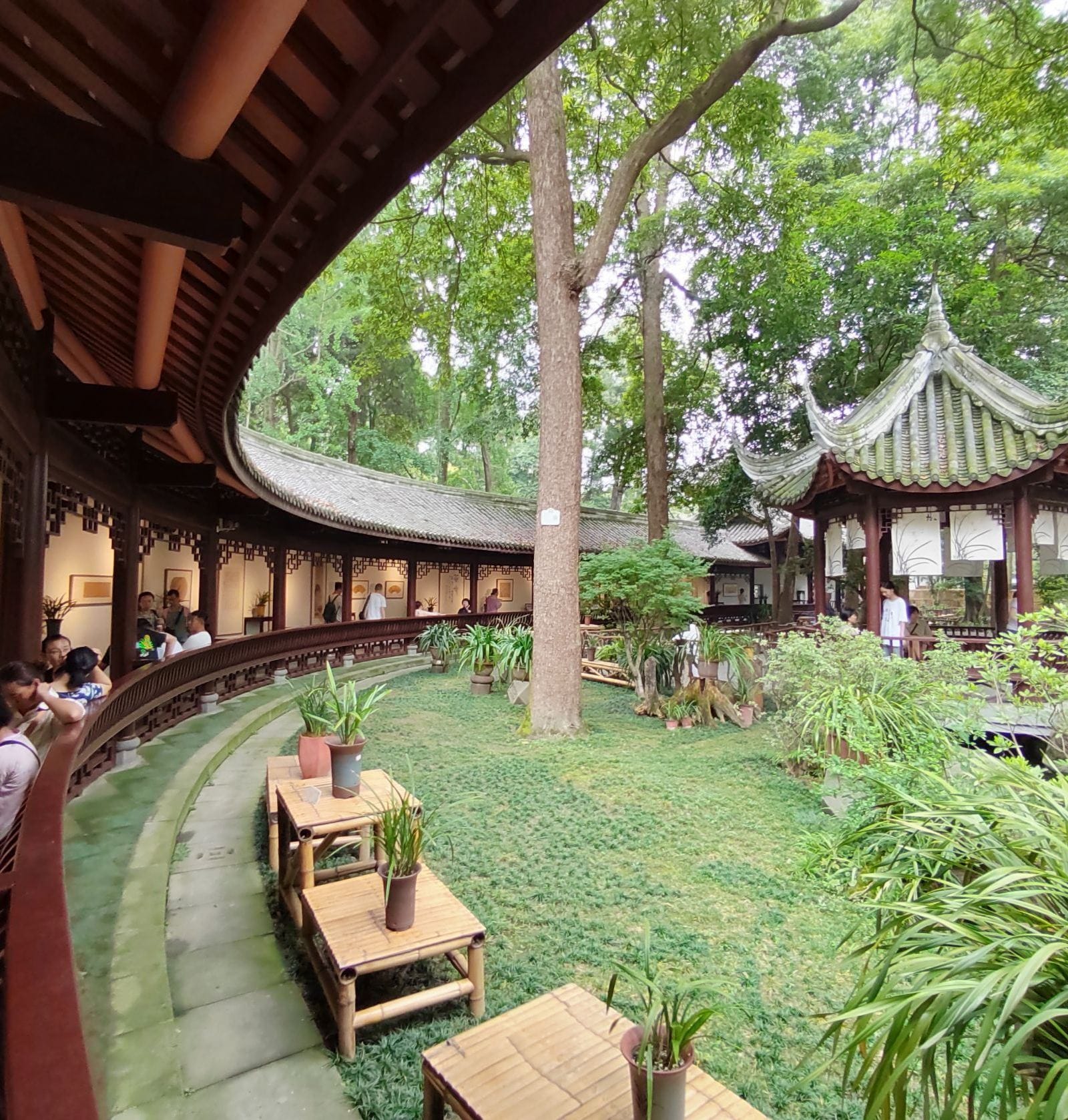 A Poet's Paradise: A Day at Chengdu's Du Fu Thatched Cottage