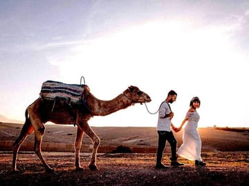 Camel Ride and Dinner Experience in Agafay Desert, Marrakech