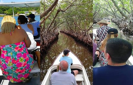 Roatan Mangrove Tunnel Cultural Tour from Jonesville